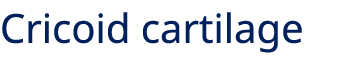 Cricoid cartilage