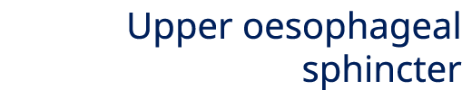 Upper oesophageal sphincter