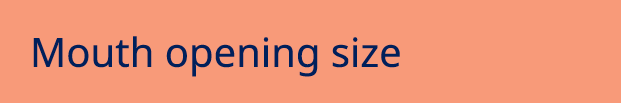 Mouth opening size