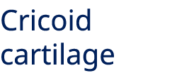 Cricoid cartilage