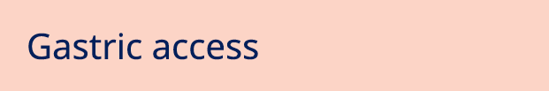 Gastric access