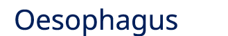 Oesophagus