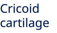 Cricoid cartilage