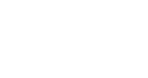 LMA™ Evolution Curve™ (airway tube)