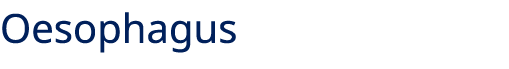 Oesophagus