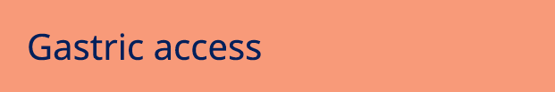 Gastric access