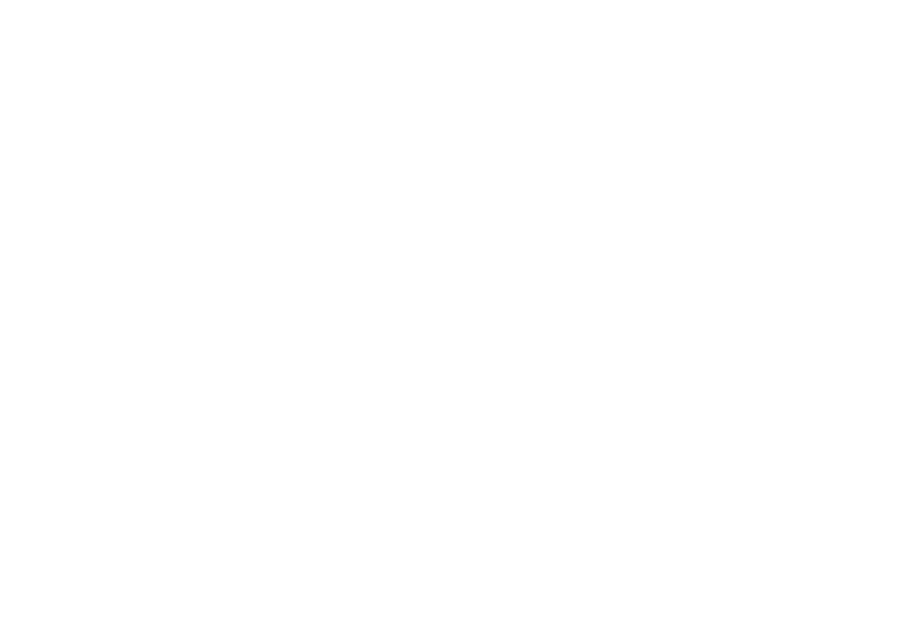 The first laryngeal mask airway